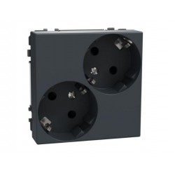 Pistorasia Schneider...