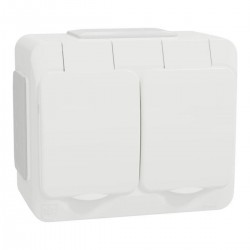 Pistorasia Schneider...